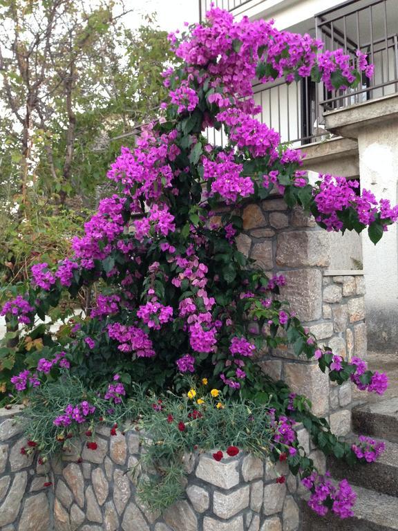 Guesthouse Maver Cres Cameră foto